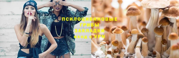 гидра Беломорск