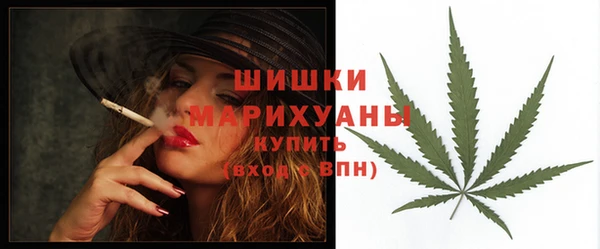 PSILOCYBIN Балахна