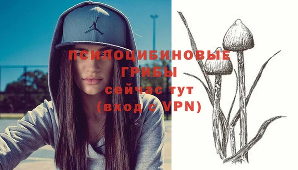 гидра Беломорск