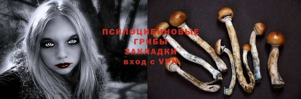гидра Беломорск